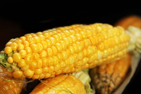 Corn. Yellow corn close up. Corn on a black background