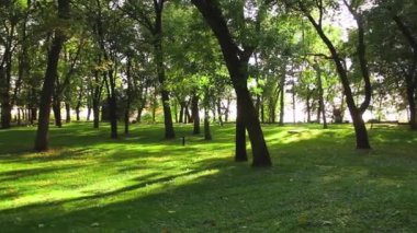 Güzel yeşil park. Eğlence parkı