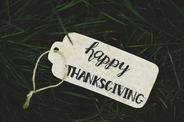 Die Inschrift Happy Thanksgiving Auf Dem Hintergrund Von Gras — Stockfoto