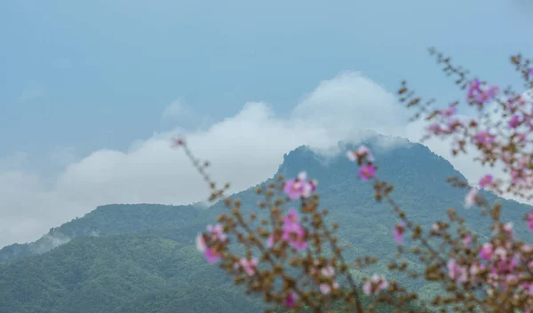 Chang Pha Dan, en yüksek dağ tepe Phrae il il, bir sembolik onun Simgesel Yapı