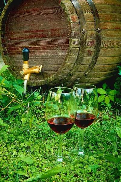 Stare Beczki Wina Ulicy Pobliżu Dzikich Winogron — Zdjęcie stockowe