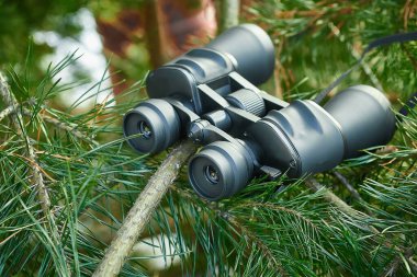 Binoculars are an excellent optical device for searching and observing during hunting, survival, and tracking