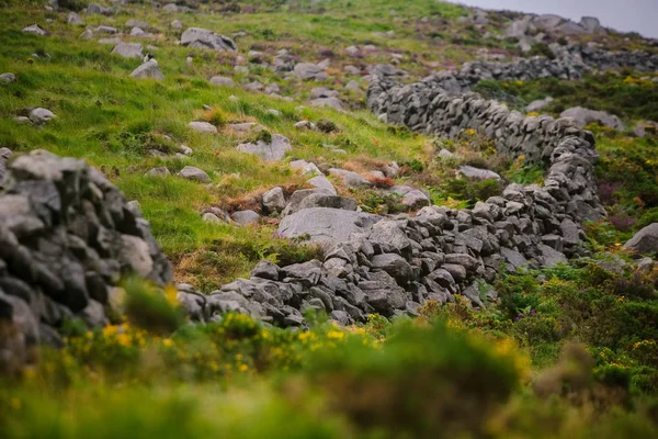 Кам Яна Стіна Кілкілі Графство Даун Північна Ірландія — стокове фото