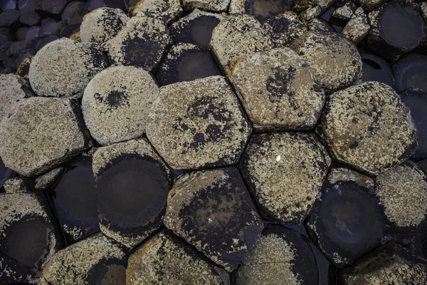 北爱尔兰巨石阵的六角形玄武岩地层 — 图库照片