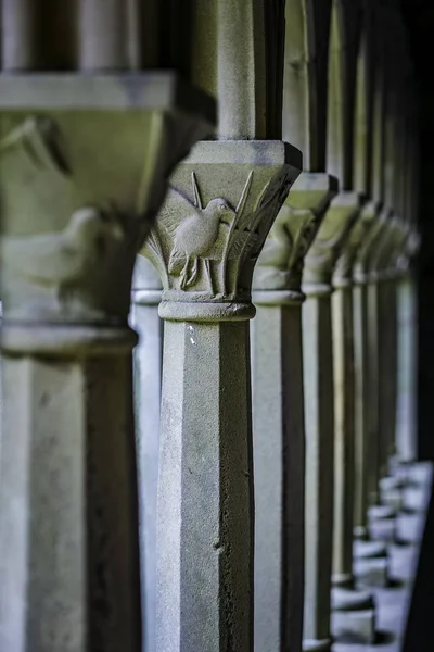 Vogel Detail Uit Verticale Kolom Iona Abbey Binnenplaats — Stockfoto