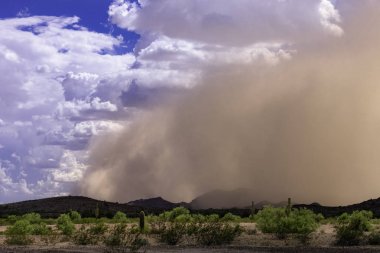 Edge of Arizona Haboob Sandstorm clipart