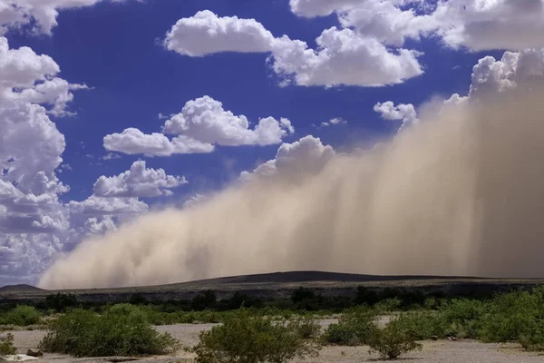 Arizona Haboob Kum Fırtınası — Stok fotoğraf