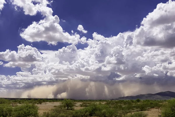 Arizona Haboob Sandstorm from a Distance — Stock Photo, Image