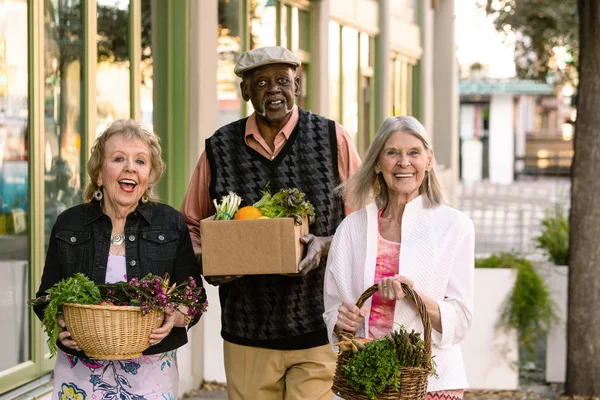 Šťastní senioři vracející se z trhu zemědělců s potravinami — Stock fotografie