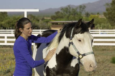 Equine Myofascial Release Techninque on Shoulder clipart