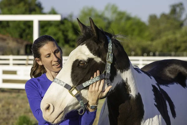Paarden Myofascial Release techniek op gezicht en kaak — Stockfoto