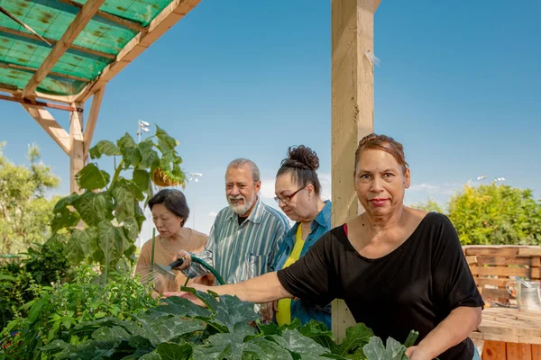 Idosos Diversos Trabalhando Juntos Jardim Comunitário — Fotografia de Stock