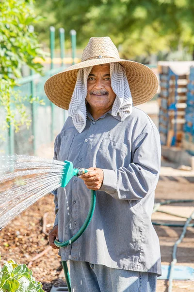 コミュニティの庭で作物に水をやるヒスパニック系の男の笑顔の垂直イメージ — ストック写真