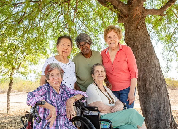 Retrato Diversas Seniores Senhora Amigos Fora — Fotografia de Stock