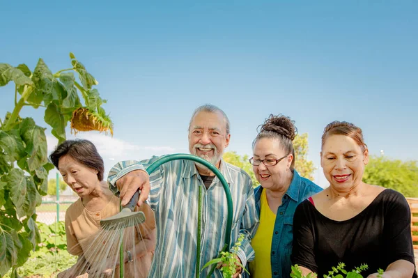 Senioren arbeiten gemeinsam im Gemeinschaftsgarten — Stockfoto