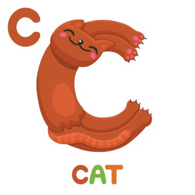 C-için öldü. Mektup C. kedi, komik şirin illüstrasyon. Hayvan alfabesi