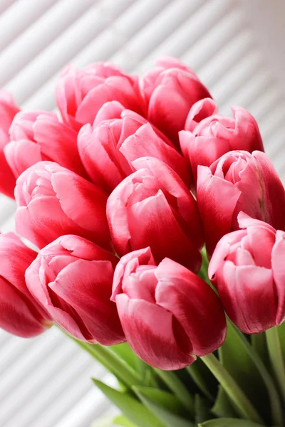 Buquê de tulipas frescas rosa. Cartão de felicitações. Foto moderna . — Fotografia de Stock