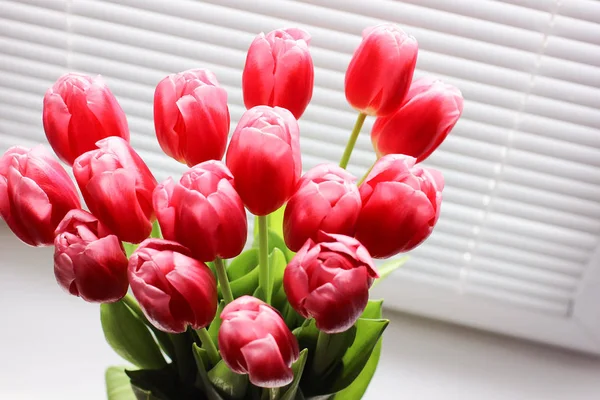 Buquê de tulipas frescas rosa. Cartão de felicitações. Foto moderna . — Fotografia de Stock