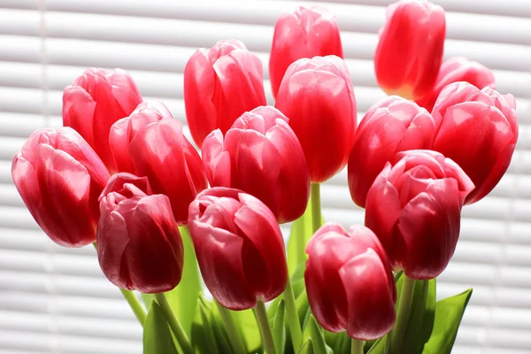 Buquê de tulipas frescas rosa. Cartão de felicitações. Foto moderna . — Fotografia de Stock