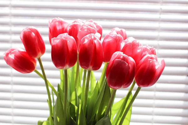 Buquê de tulipas frescas rosa. Cartão de felicitações. Foto moderna . — Fotografia de Stock