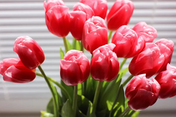 Buquê de tulipas frescas rosa. Cartão de felicitações. Foto moderna . — Fotografia de Stock