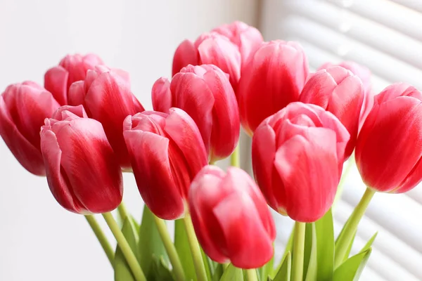 Buquê de tulipas frescas rosa. Cartão de felicitações. Foto moderna . — Fotografia de Stock