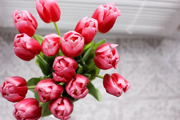 Buquê de tulipas frescas rosa. Cartão de felicitações. Foto moderna . — Fotografia de Stock