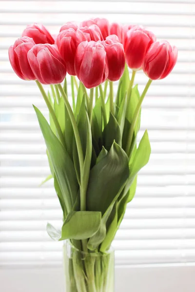 분홍색 신선한 튤립 꽃다발입니다. 인사말 카드입니다. 현대 사진. — 스톡 사진