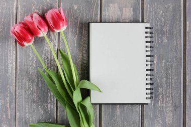 Pembe taze Lale buketi. Tebrik kartı. Modern Fotoğraf.