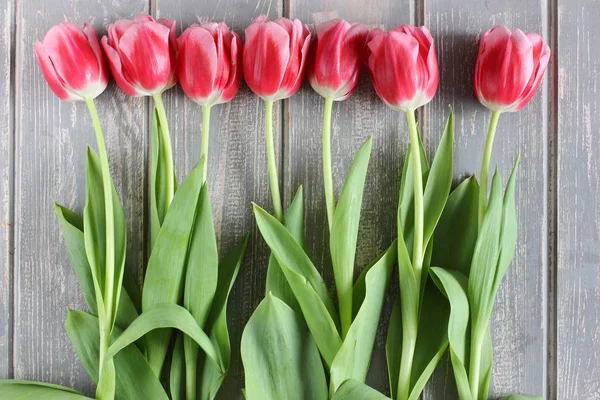 Buquê de tulipas frescas rosa. Cartão de felicitações. Foto moderna . — Fotografia de Stock