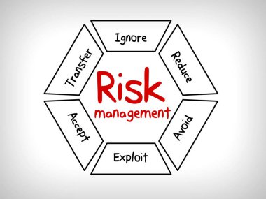risk yönetimi stratejileri - yoksay, kabul, önlemek, azaltmak, aktarmak ve yararlanma 