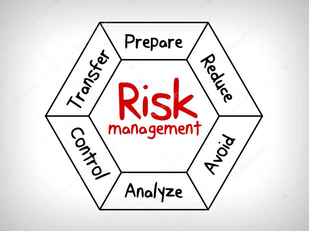 risk management strategies - ignore, accept, avoid, reduce, transfer and exploit 