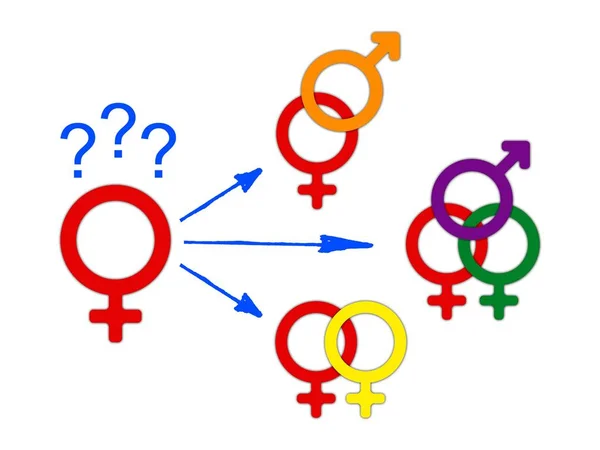 Concept Choice Gender Symbol Confusion Choosing Genders Rainbow Arrows Couple — Stock Photo, Image