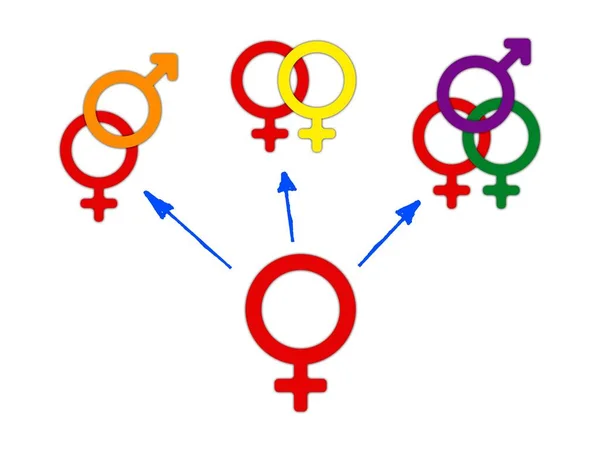 Concept Choice Gender Symbol Confusion Choosing Genders Rainbow Arrows Couple — Stock Photo, Image