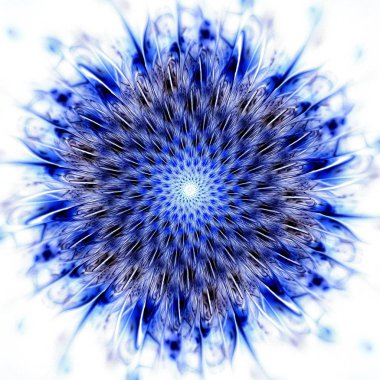 Güzel simetrik fraktal mavi mandala, çiçek veya kelebek, dijital sanat yaratıcı grafik tasarım için. Oluşturulan bilgisayar grafikleri.