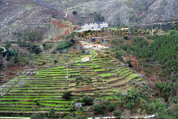 Piodao Ist Ein Traditionelles Schieferdorf Den Bergen Abgelegenes Dorf Zentralportugal — Stockfoto