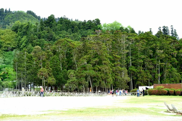 Pohled Furnas Lake Sao Miguel Azory Portugalsko — Stock fotografie