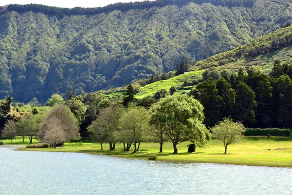 Lagoa Das Sete Cidades São Miguel Açores Portugal — Fotografia de Stock