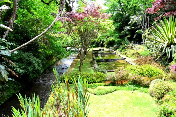 Jardín Botánico Terra Nostra Furnas Azores Portugal — Foto de Stock