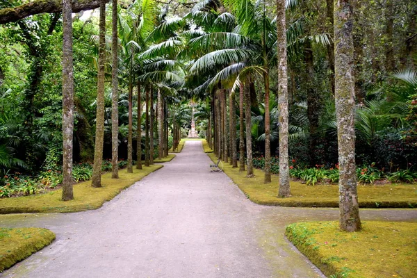 Terra Nostra Botanischer Garten Ofen Azoren Portugal — Stockfoto