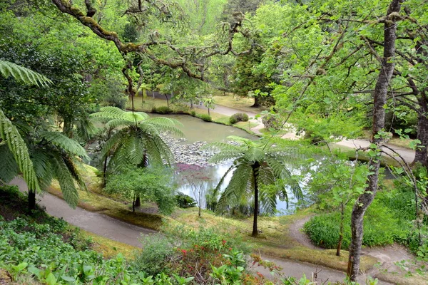 Jardín Botánico Terra Nostra Furnas Azores Portugal — Foto de Stock