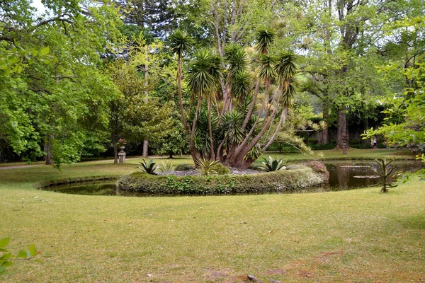 Terra Nostra Botanická Zahrada Furnas Azory Portugalsko — Stock fotografie