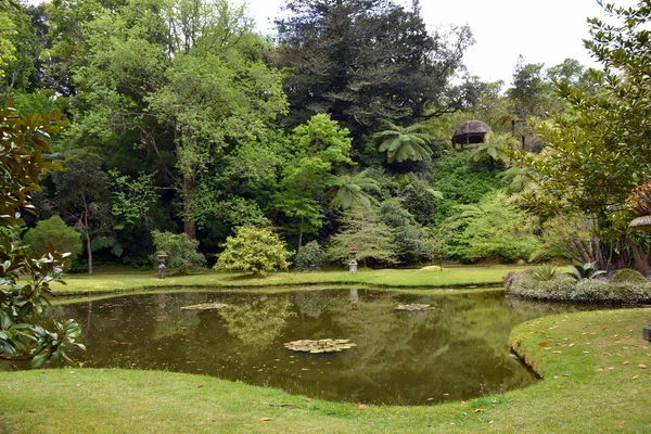 Jardim Botânico Terra Nostra Furnas Açores Portugal — Fotografia de Stock