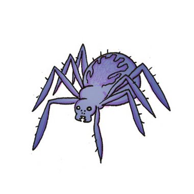 Bir örümcek ayrıntılı olarak gösteren resim