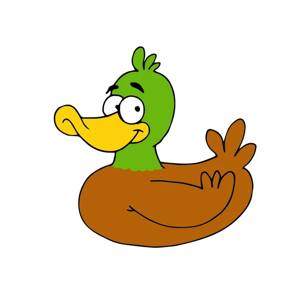 Illustration of a cute green head duck and brown body