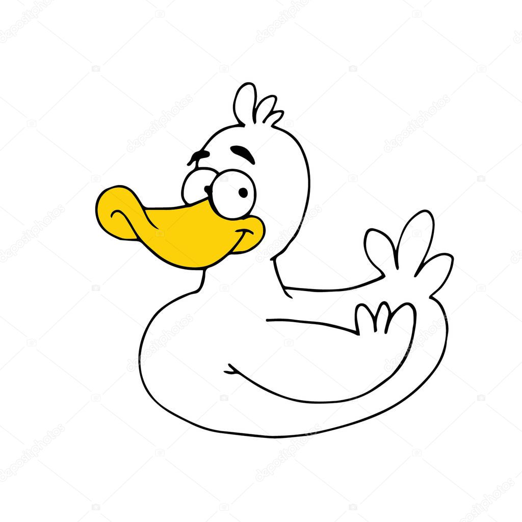 Illustration of a cute white duck