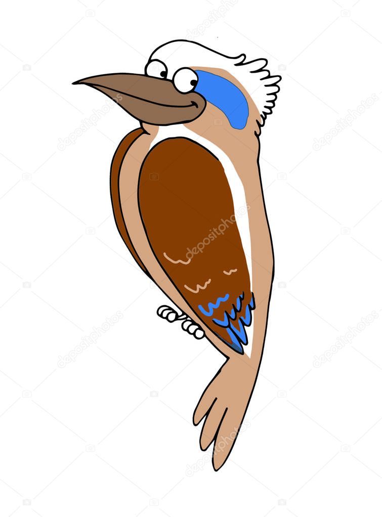 Funny illustration of a bird of Australian origin known as kookaburra