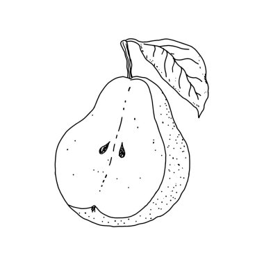 Ayrıntılı illüstrasyon, renk olmadan, yarısında kesilmiş bir armut