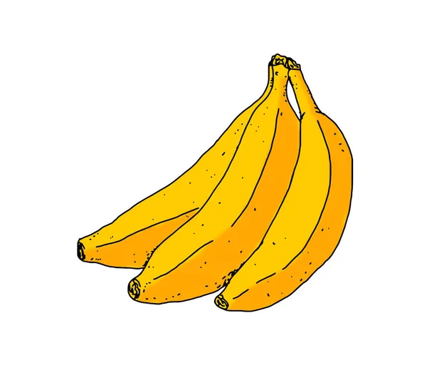 Realistische Kleurrijke Illustratie Van Een Heleboel Bananen — Stockfoto