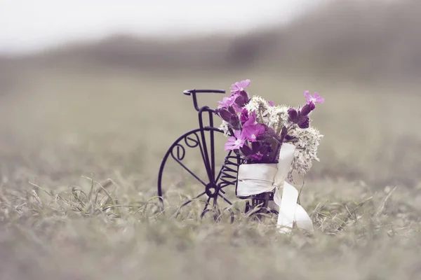 Крупный План Маленького Винтажного Велосипеда Фиолетовыми Белыми Цветами Дорожке — стоковое фото